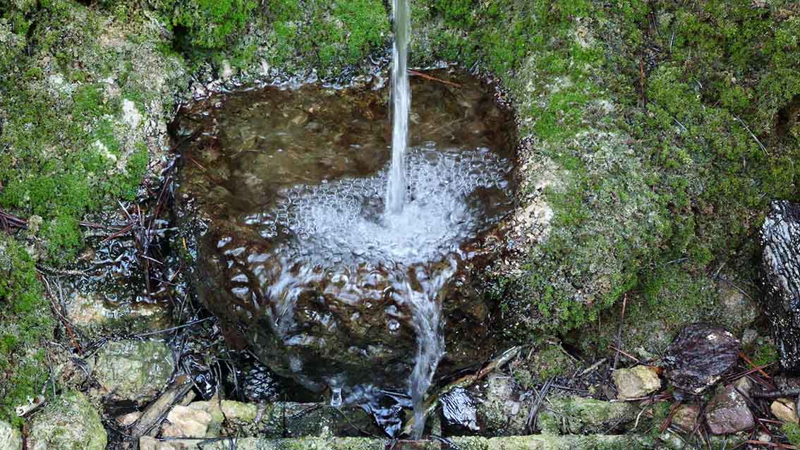 Manantial entre la vegetación en Sierra Espuña — Paisaje Sonoro